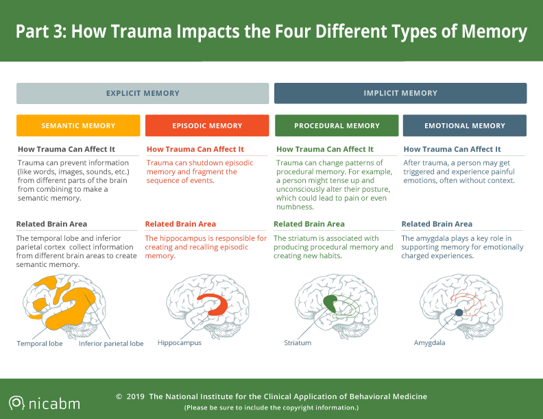 Module 4 Trauma Human Development The Awakening Group